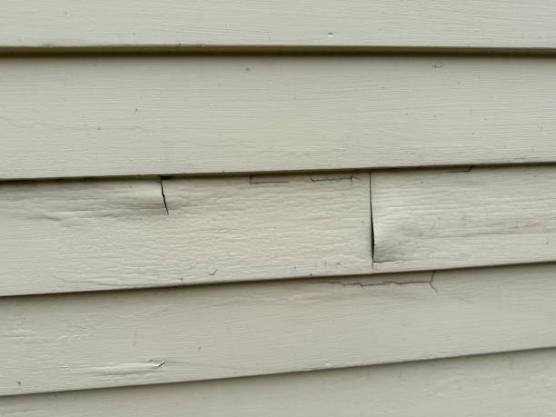 How To Choose The Right Materials for Your Siding Installation in 'Clarksdale, MS